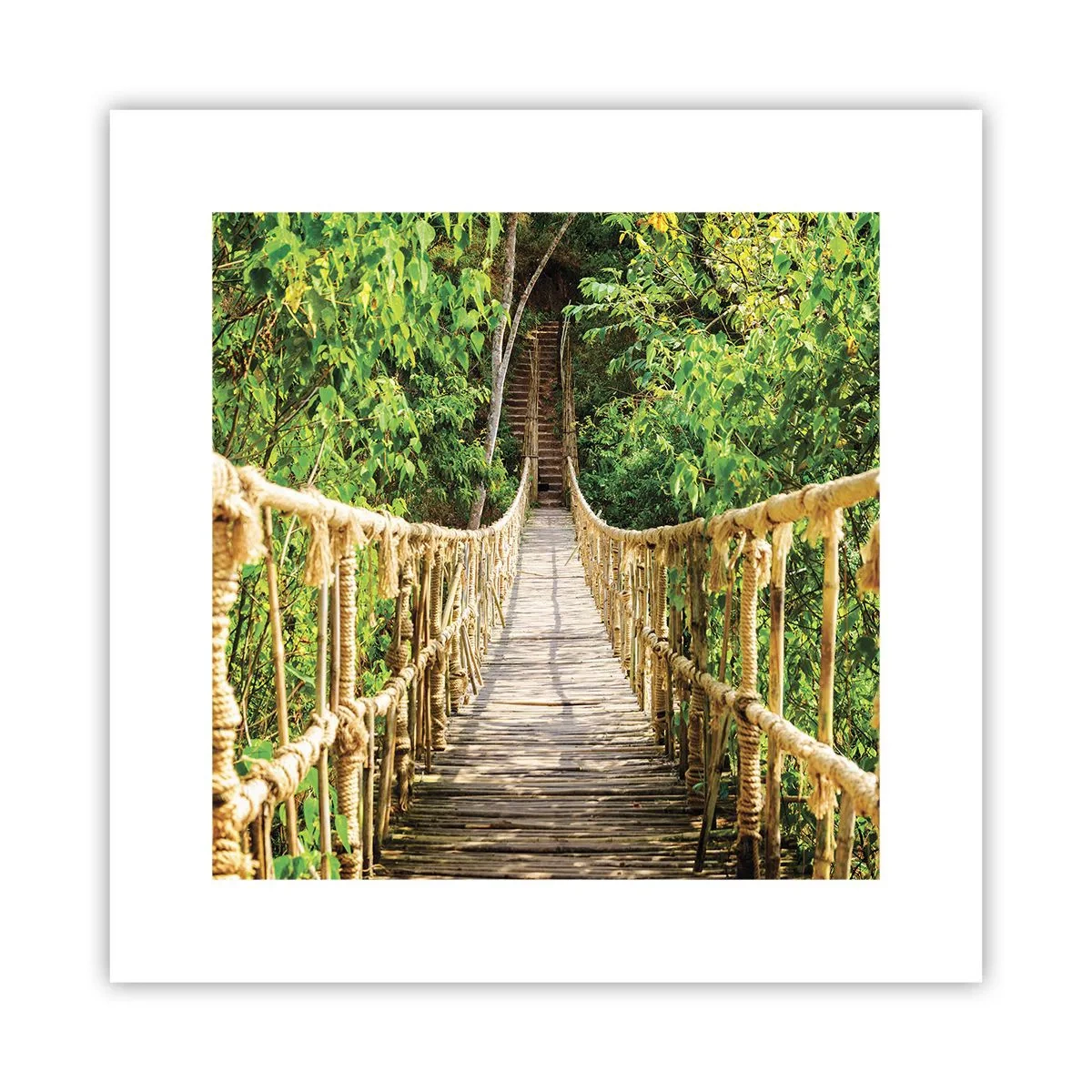 Pôster - Suspenso na vegetação - 30x30 cm