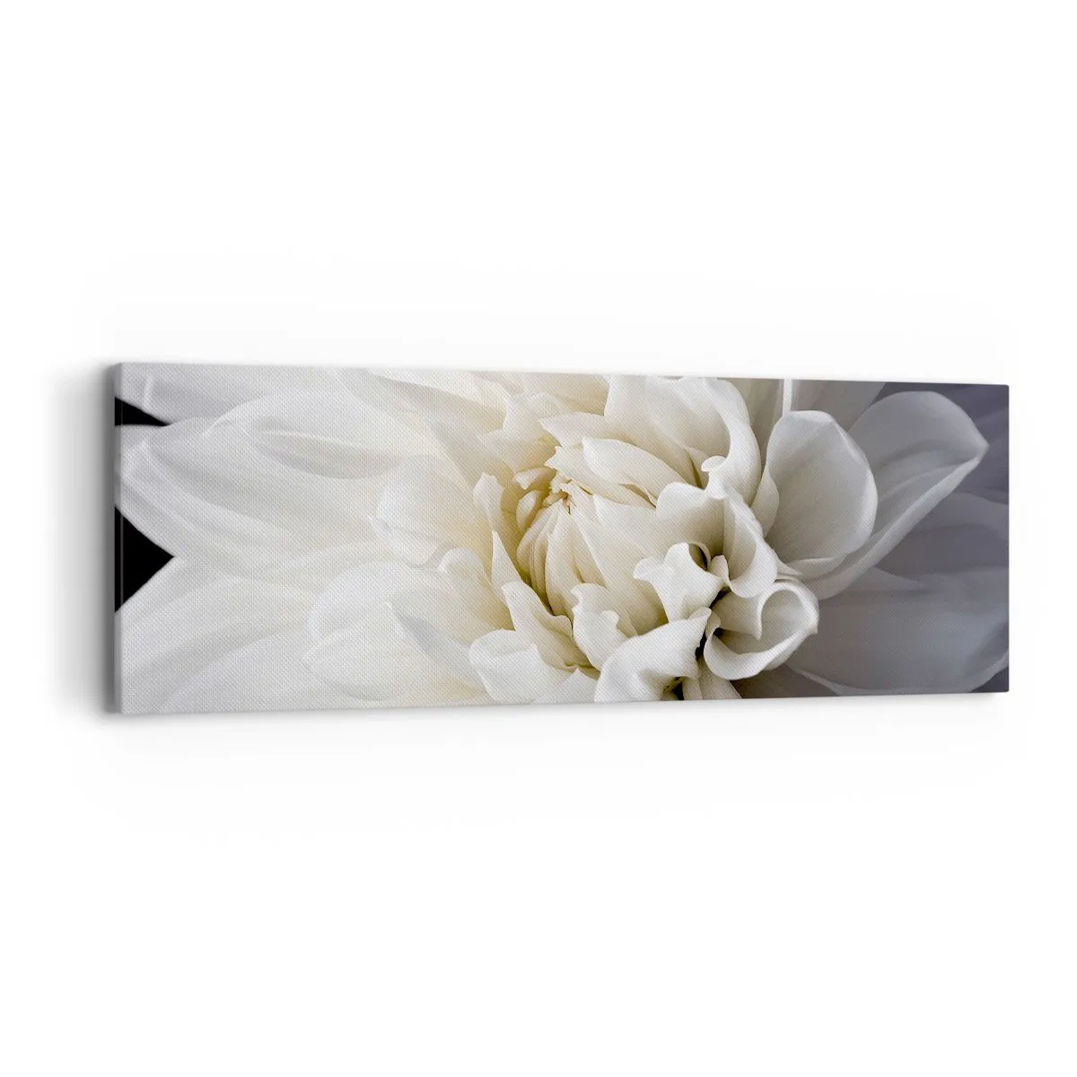 Quadro em tela - Manhã da noiva - 90x30 cm