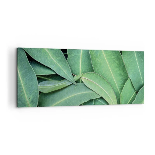 Quadro em tela - Suculentas e frescas - 100x40 cm