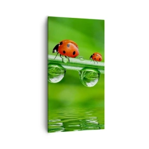 Quadro em tela - Estrada do verão - 55x100 cm