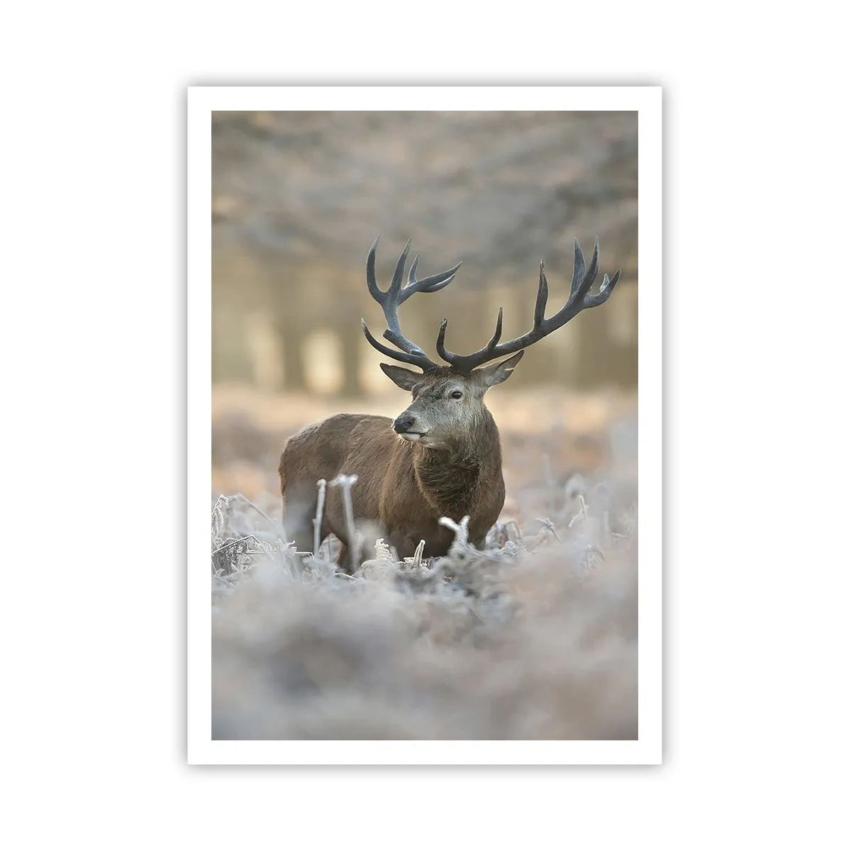 Pôster - Uma manhã fresca - 70x100 cm