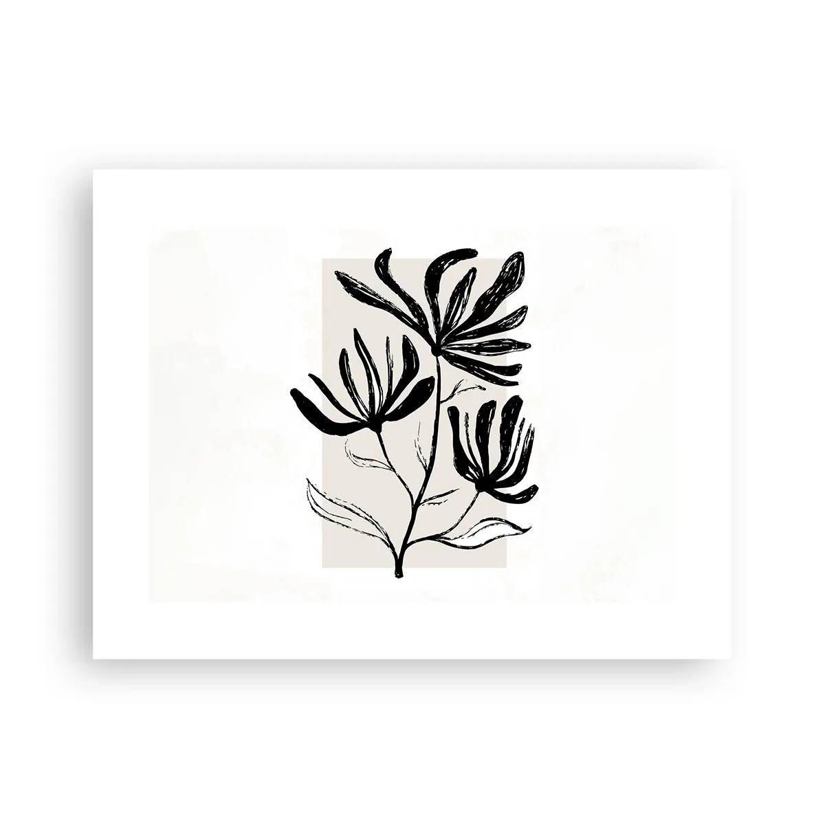 Pôster - Esboço para o herbário - 40x30 cm