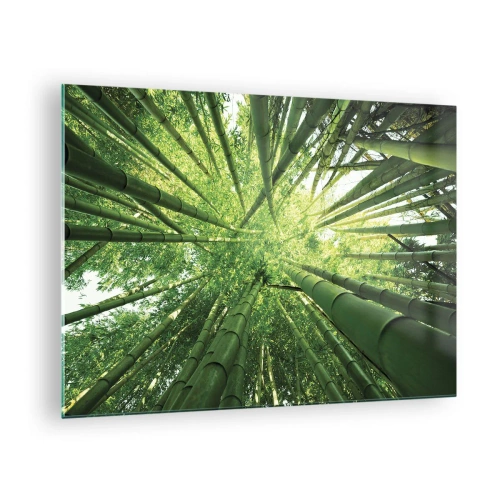 Quadro em vidro - Vista em perspectiva ascendente da floresta de bambu - 70x50cm - Em um bosque de bambu - Decoração de parede moderna para a sala de estar e quarto ARTTOR