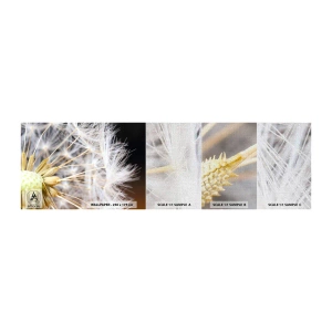 Amostra de papel de parede Premium Canvas - Pouco antes de partir - Flor, Plantar, Natureza - 100x30 cm