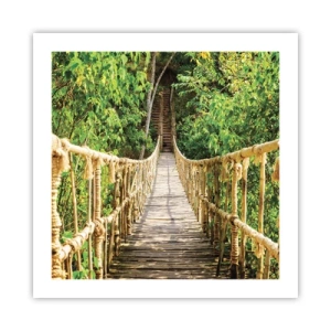 Pôster - Suspenso na vegetação - 50x50 cm