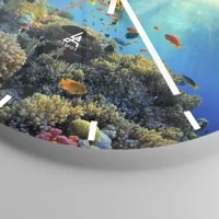 Mostrador com traços