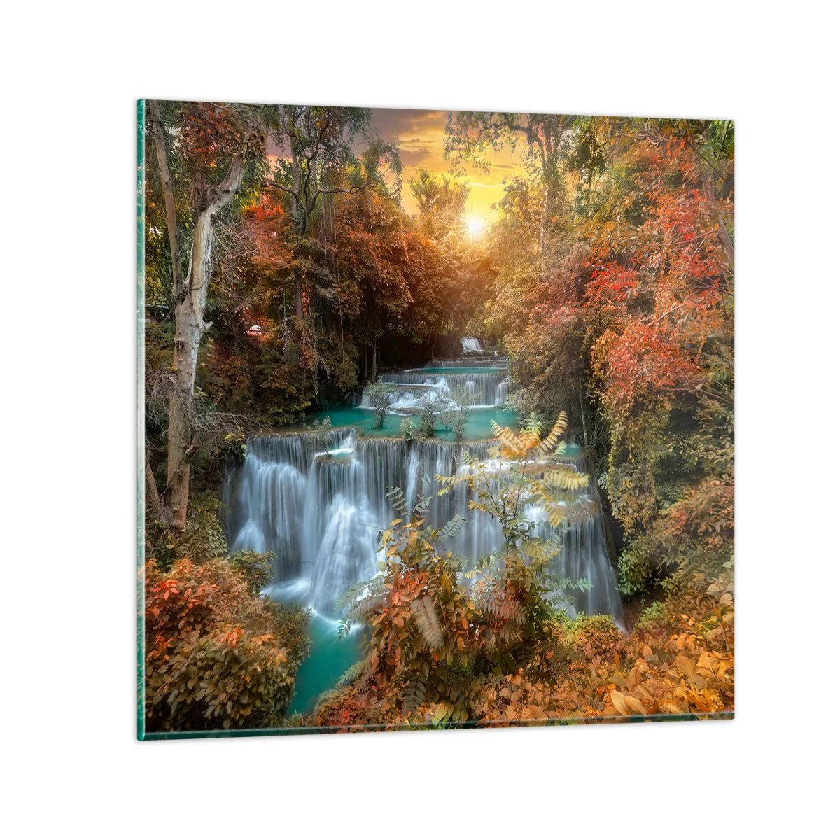 Quadro em vidro - O tesouro escondido da floresta - 70x70 cm