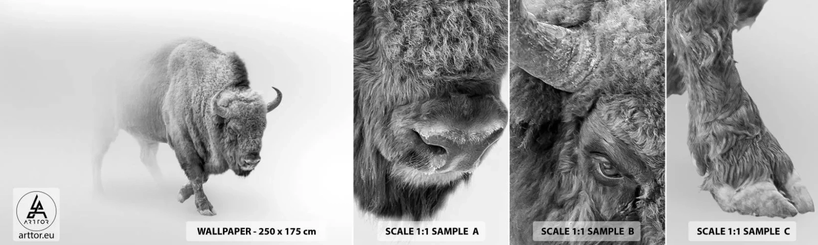 Amostra de papel de parede autocolante Deluxe Sticker - Rei da Pradaria - Sábio, Animais, Búfalo - 100x30 cm