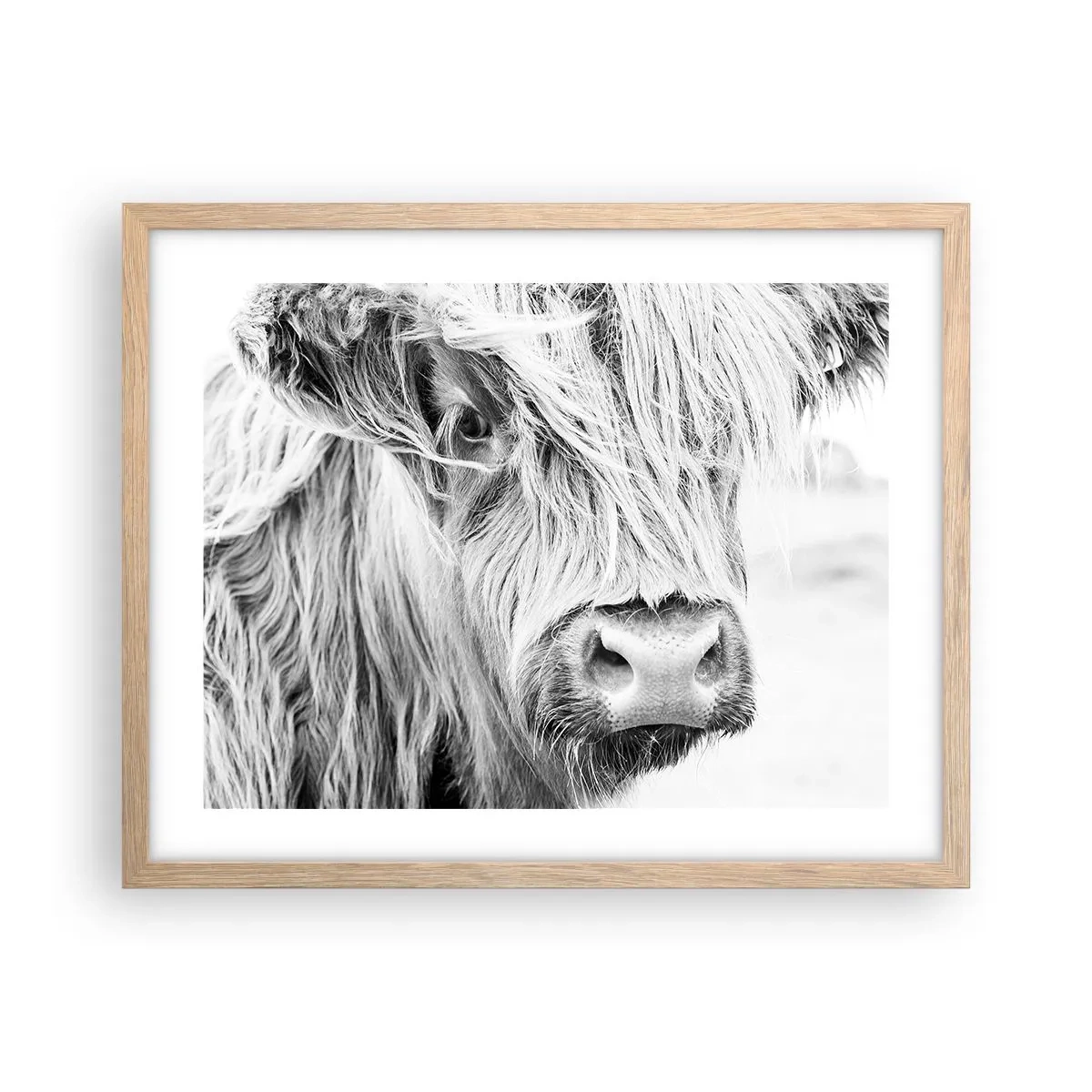 Pôster com moldura de carvalho claro - Natureza selvagem escocesa - 50x40 cm