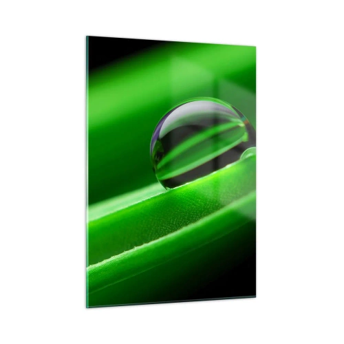 Quadro em vidro - A vida de perto - 50x70 cm