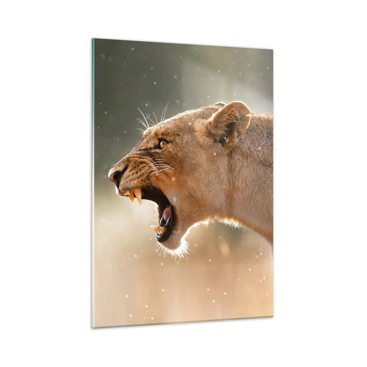 Quadro em vidro - Tente não ouvir - 50x70 cm