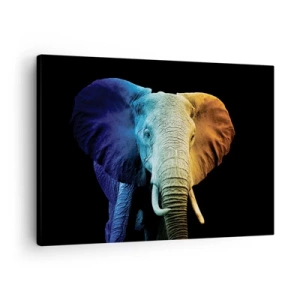 Quadro em tela - Retrato de elefante nas cores do arco-íris - 70x50cm - Excêntrico, não esquisito - Decoração de parede moderna para a sala de estar e quarto ARTTOR