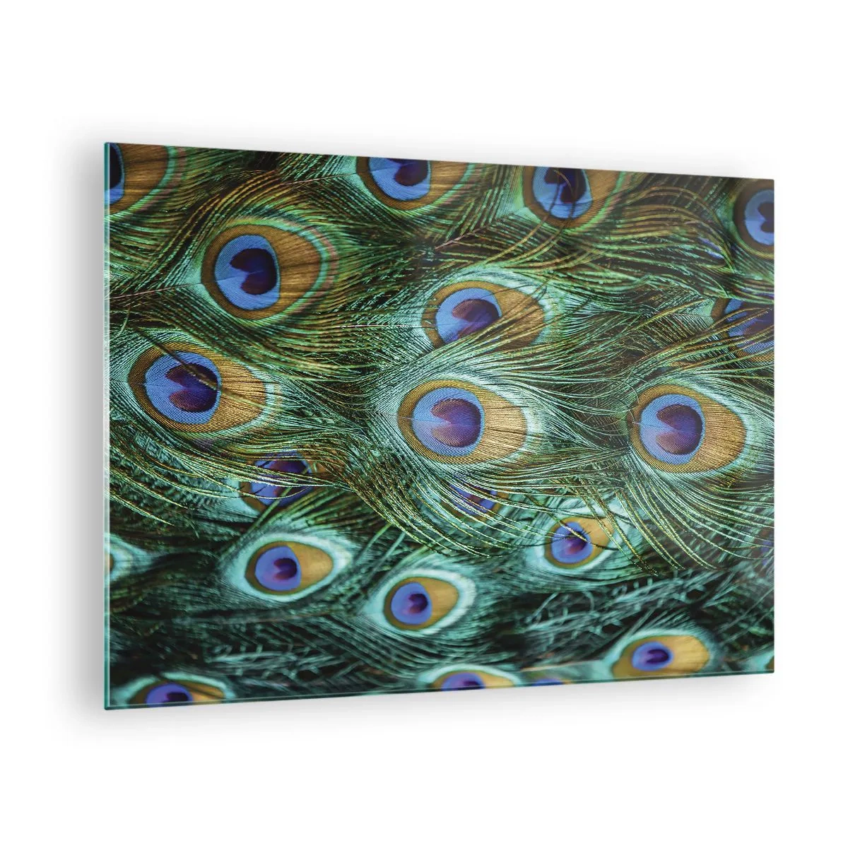 Quadro em vidro - Detalhe de penas de pavão com olhos distintos - 70x50cm - Um olhar de pavão - Decoração de parede moderna para a sala de estar e quarto ARTTOR