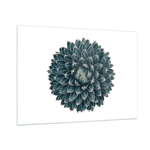 Quadro em vidro - Estrela do Deserto - 100x70 cm