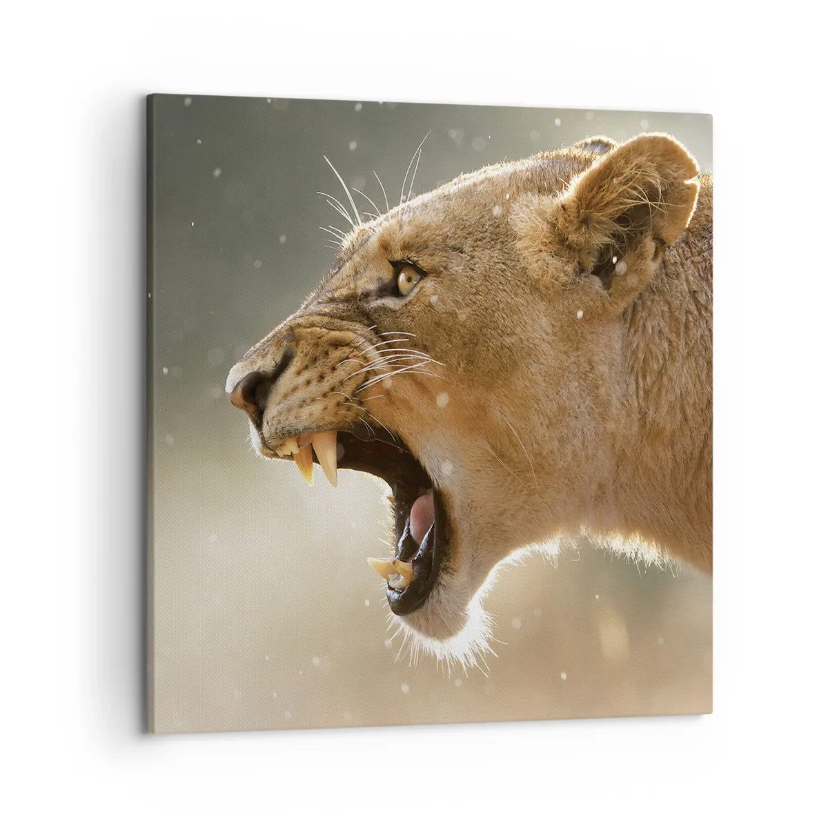 Quadro em tela - Tente não ouvir - 50x50 cm