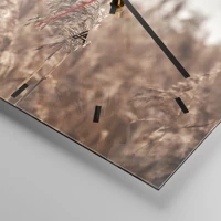 Mostrador com traços