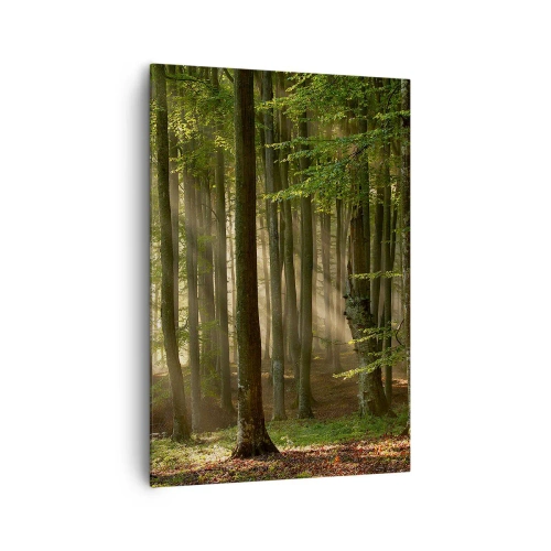 Quadro em tela - Radiante em uma manhã de primavera - 70x100 cm