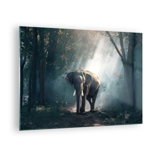 Quadro em vidro - Um elefante caminhando pela floresta com a luz do sol atravessando as árvores. - 70x50cm - Um passeio descontraído - Decoração de parede moderna para a sala de estar e quarto ARTTOR