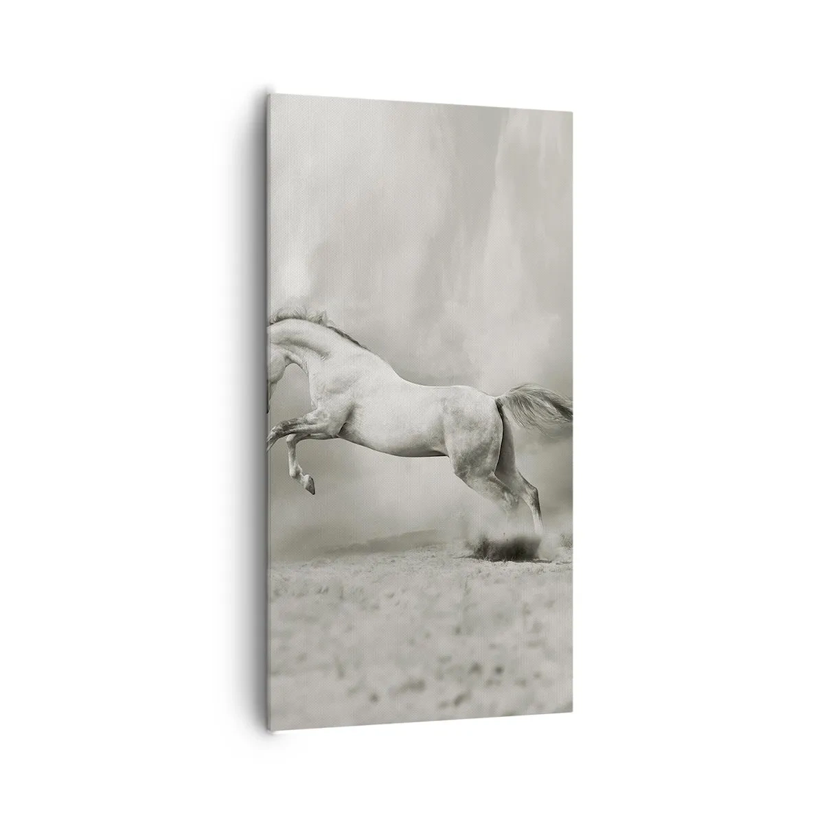 Quadro em tela - Entre o acordar e sonhar - 65x120 cm