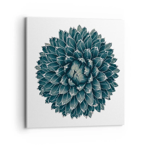 Quadro em tela - Estrela do Deserto - 70x70 cm