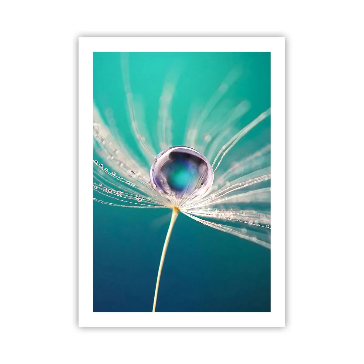 Pôster - Momento místico - 50x70 cm