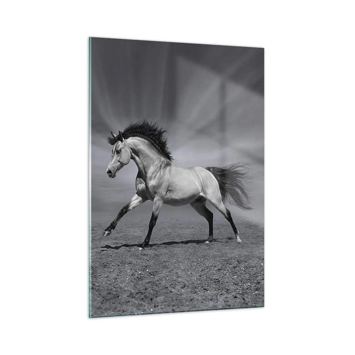 Quadro em vidro - Nascido para encantar - 50x70 cm