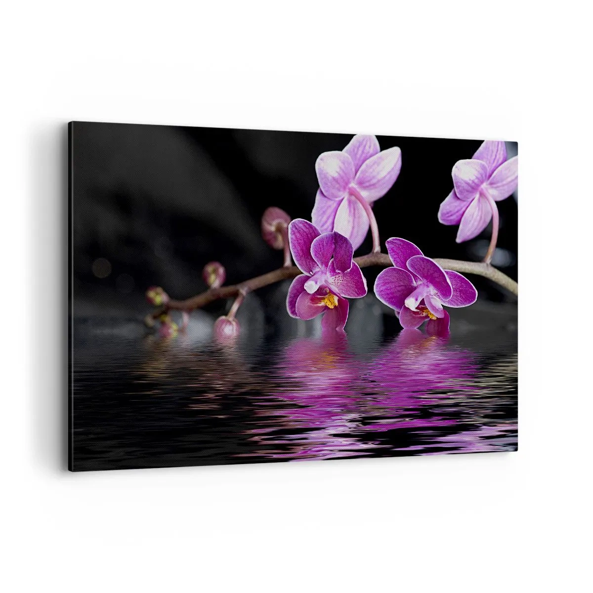Quadro em tela - Reflexo lilás da beleza - 120x80 cm