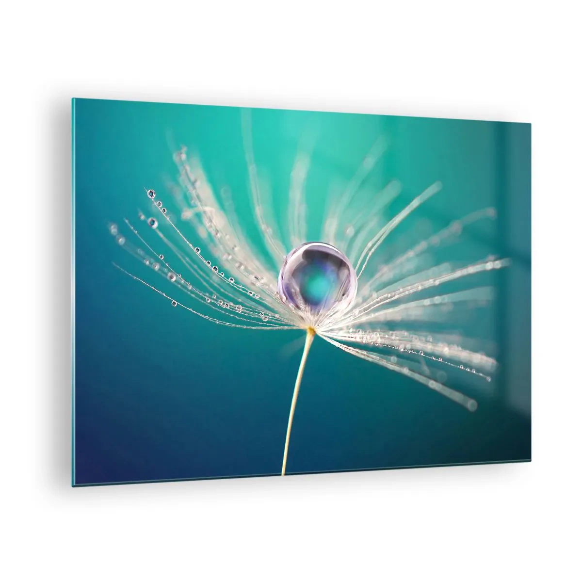 Quadro em vidro - Fotografia macro de uma semente de dente-de-leão com uma gota de orvalho sobre um fundo turquesa - 70x50cm - Momento místico - Decoração de parede moderna para a sala de estar e quarto ARTTOR