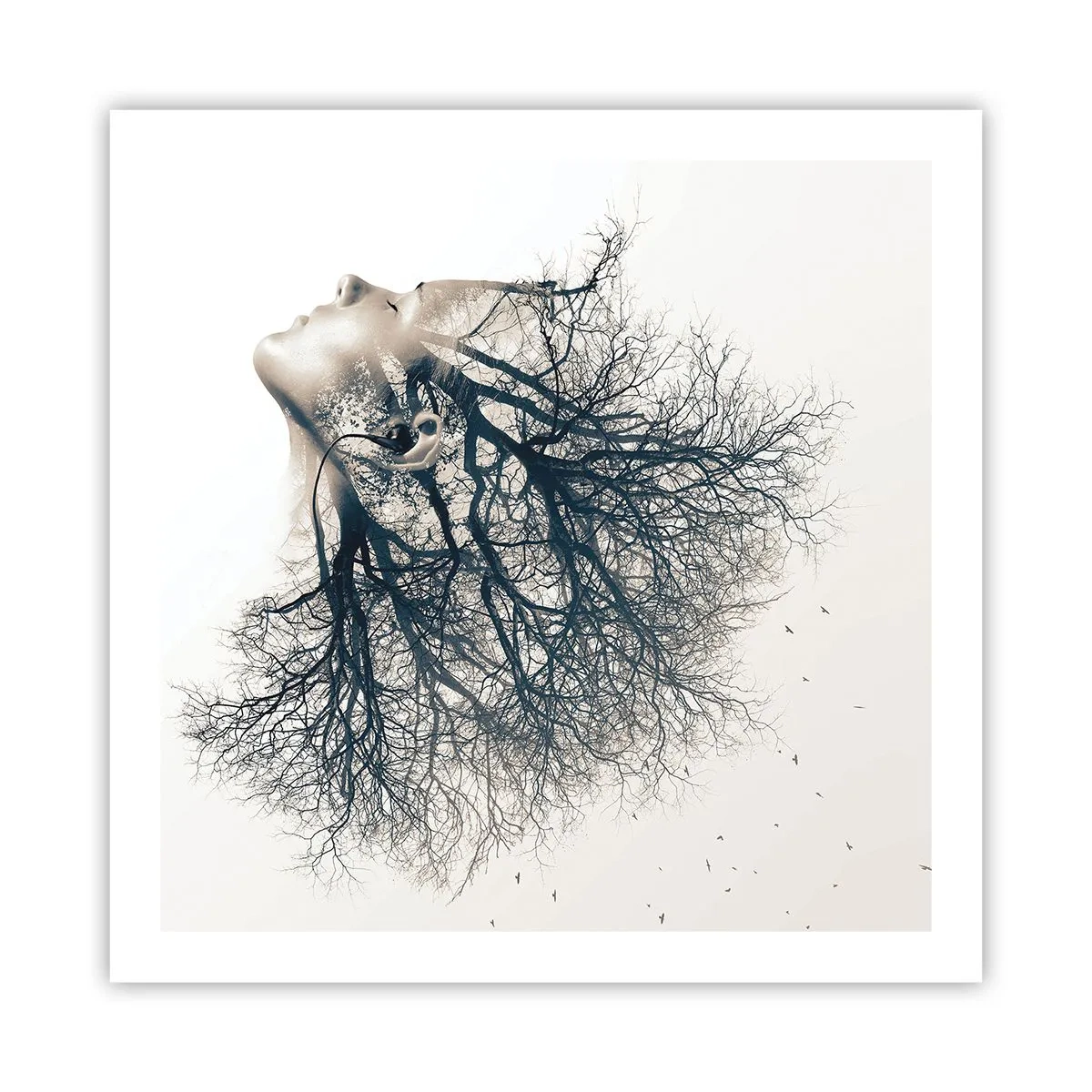 Pôster - Ouvir o sussurro da árvore - 60x60 cm