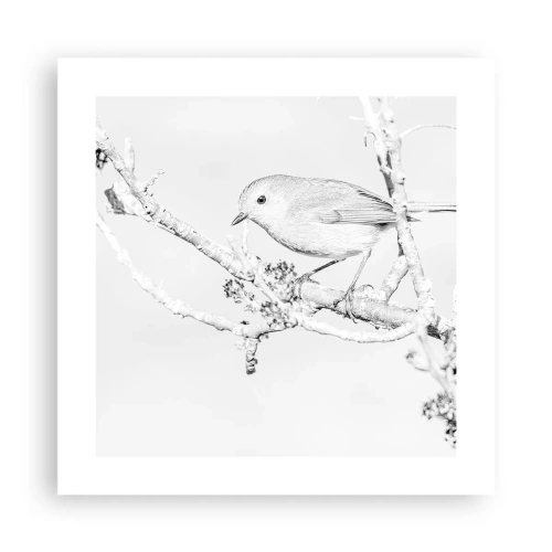 Pôster - Manhã de inverno - 40x40 cm