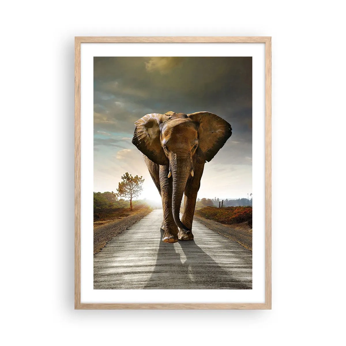 Pôster com moldura de carvalho claro - Não faz parte da composição da porcela - 50x70 cm