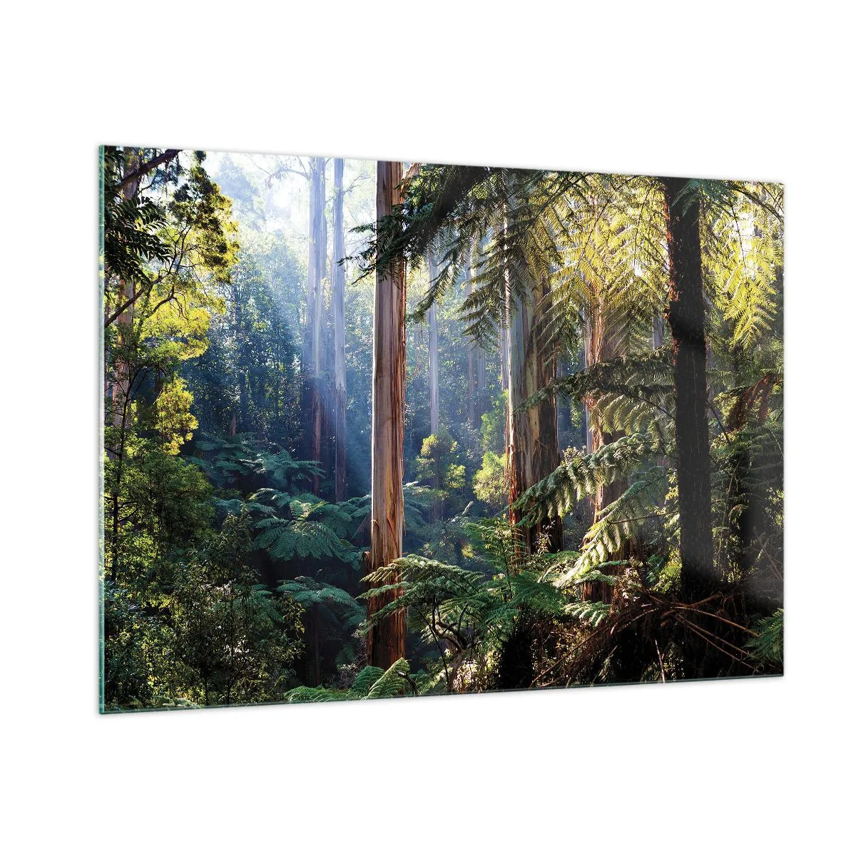 Quadro em vidro - Um conto de fadas da floresta - 100x70 cm