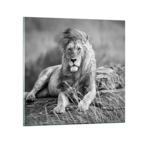 Quadro em vidro - Sesta real - 40x40 cm