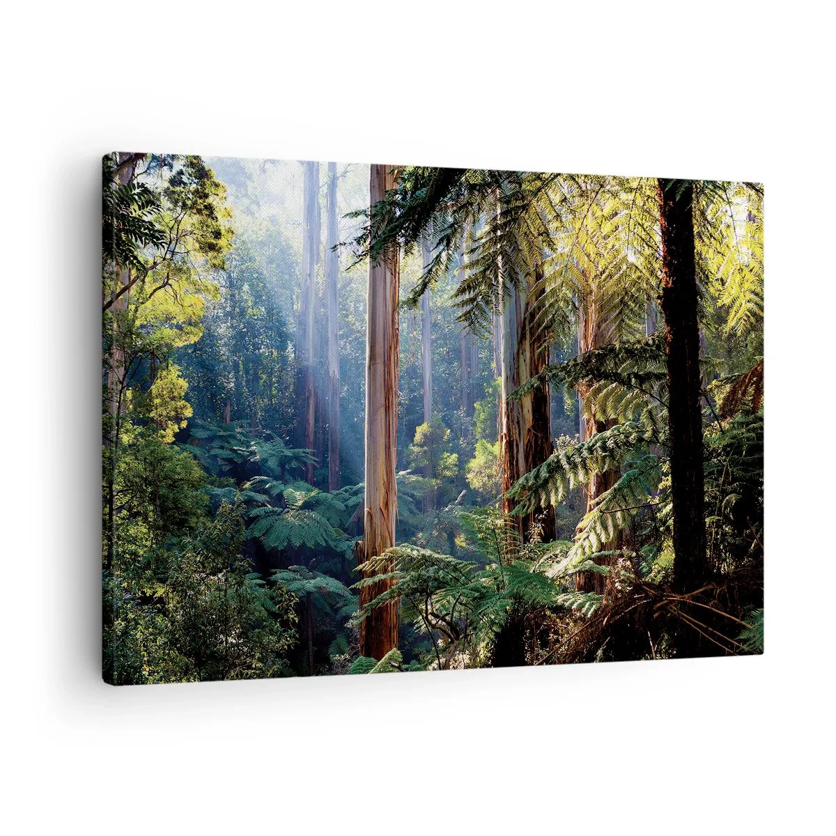 Quadro em tela - Floresta tropical iluminada pelos raios do sol - 70x50cm - Um conto de fadas da floresta - Decoração de parede moderna para a sala de estar e quarto ARTTOR