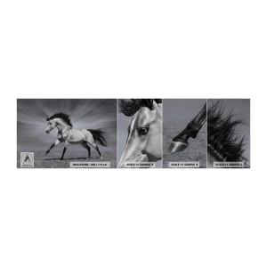 Amostra de Papel de Parede Standard Eco - Nascido para encantar - Animais, Cavalo, Natureza - 100x30 cm