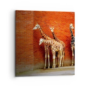 Quadro em tela - Vê alguma acácia? - 70x70 cm