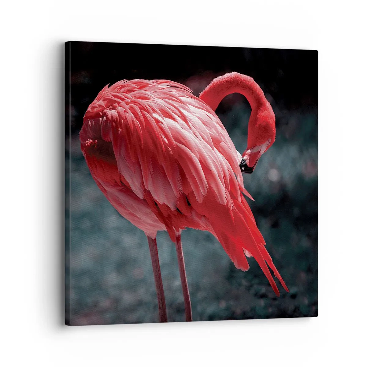 Quadro em tela - Poema carmesim da natureza - 30x30 cm