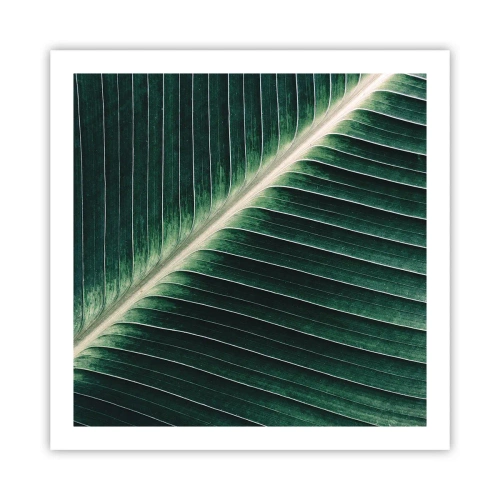 Pôster - O ritmo da natureza - 60x60 cm