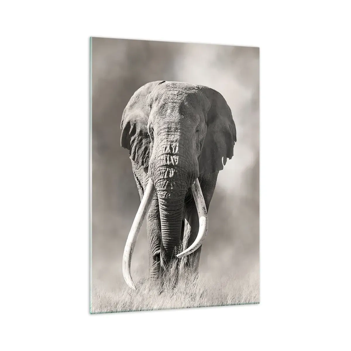 Quadro em vidro - Patriarca africano - 70x100 cm