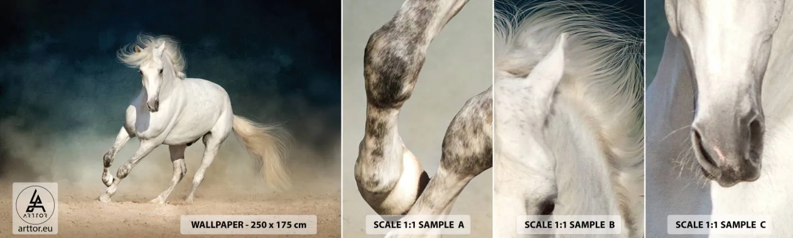 Amostra de Papel de Parede Standard Eco - Liberdade em seu estado puro - Cavalo, Animal, Branco - 100x30 cm