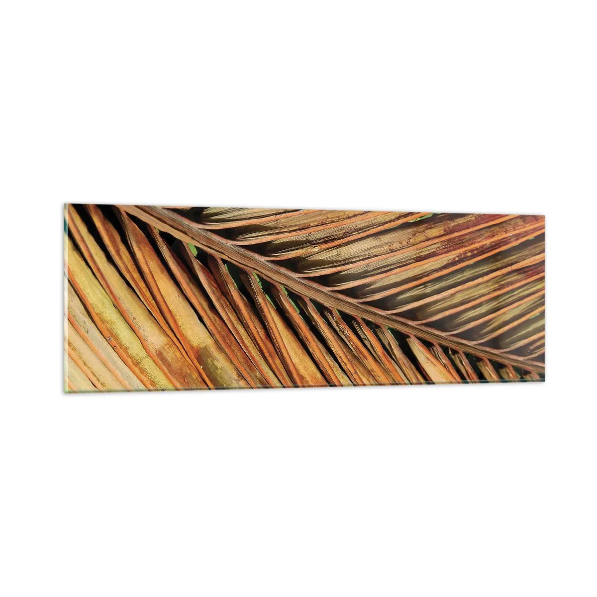 Quadro em vidro - Ouro de coco - 90x30 cm