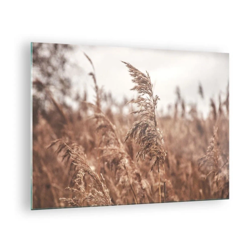 Quadro em vidro - Gramíneas secas ao vento na luz outonal da natureza - 70x50cm - O outono já chegou ao campo - Decoração de parede moderna para a sala de estar e quarto ARTTOR
