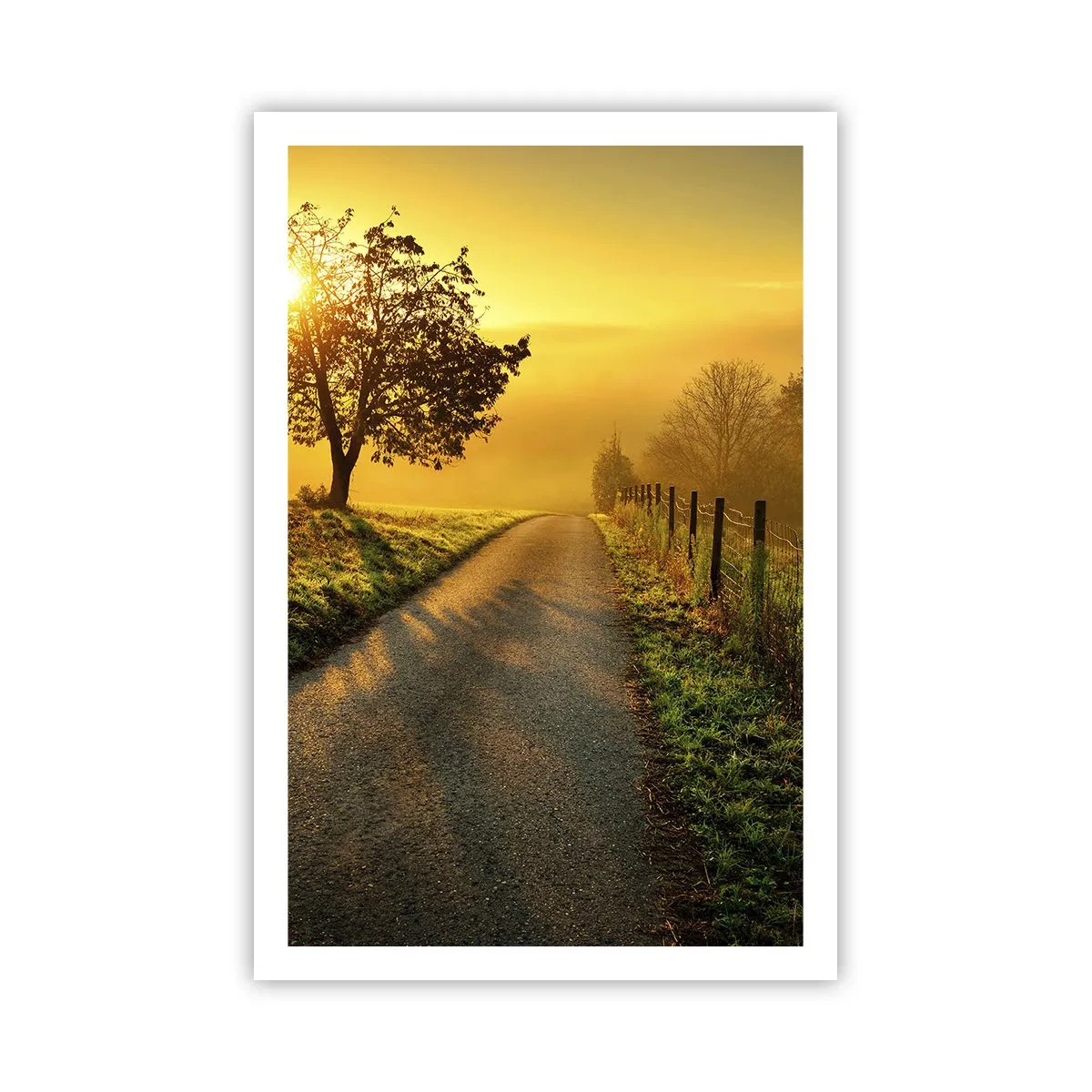 Pôster - Uma tarde agradável - 61x91 cm