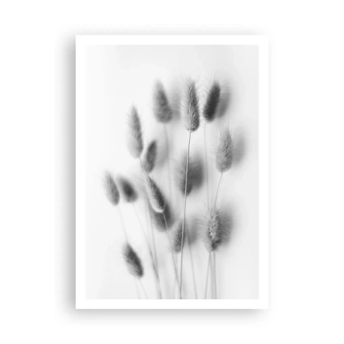 Pôster - Grama fofa - 70x100 cm