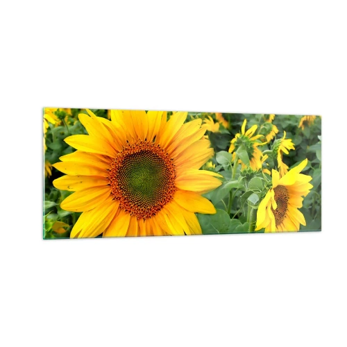 Quadro em vidro - Centenas de sóis brilharam - 100x40 cm