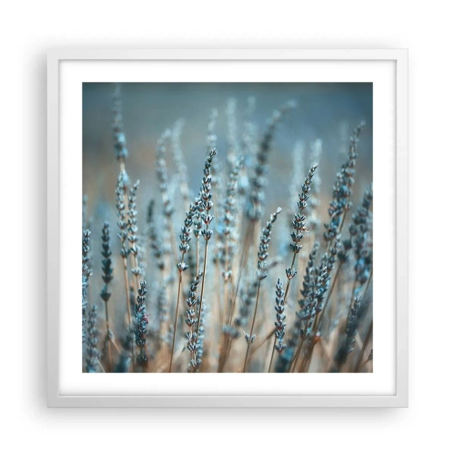 Pôster em moldura branca - Prado perfumado - 50x50 cm