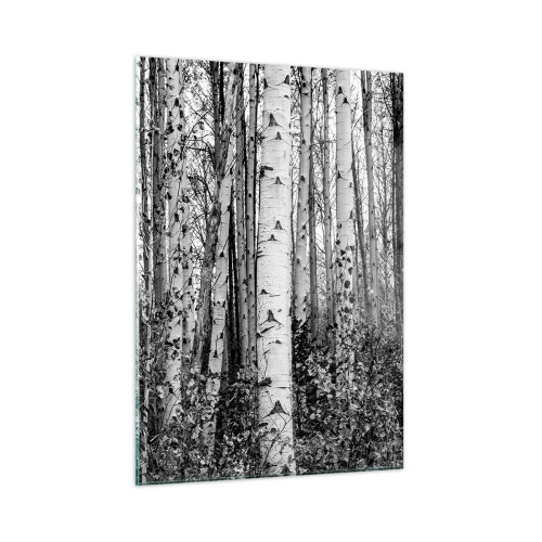 Quadro em vidro - Colunata de bétula - 50x70 cm