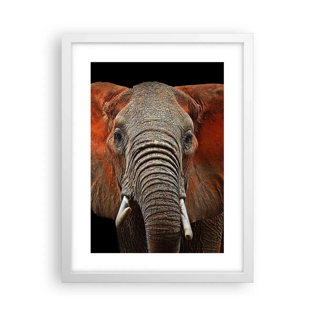 Pôster em moldura branca - Eu sou selvagem, e você? - 30x40 cm