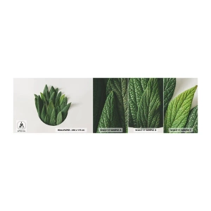 Amostra de papel de parede autocolante Deluxe Sticker - Curiosidade indomável - Sábio, folha de sálvia, Erva - 100x30 cm