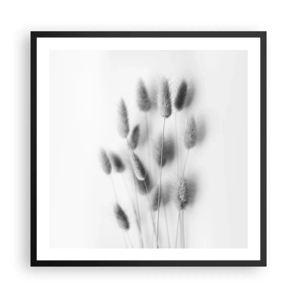 Pôster com moldura preta - Grama fofa - 60x60 cm
